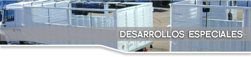 Desarrollos especiales